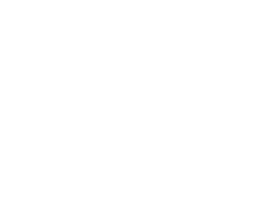 Logo ZEVO