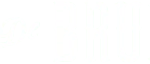 Logo BVZ