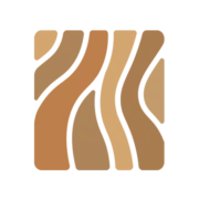 Logo DIRI GROUP