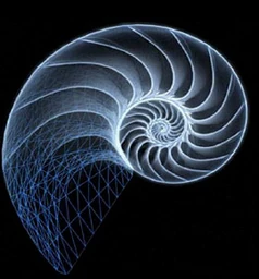 Logo FRACTAL CONSULTING