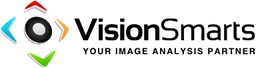 Logo VISION SMARTS