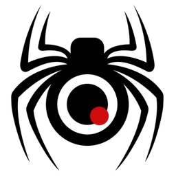Logo Spider Security Group