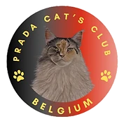 Logo PRADA CAT’S CLUB BELGIUM