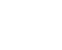 Logo A & P PROJECTS