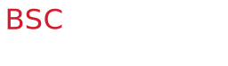 Logo BELGIAN SECURITY CORP