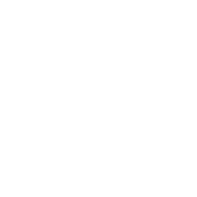 Logo RevaTis