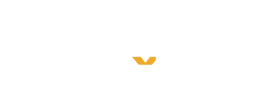 Logo DAMAGE CONTROL