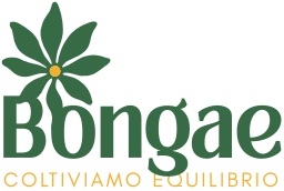 Logo BONGAE