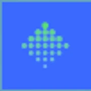 Logo BINARY SOLUTIONS