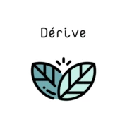 Logo DERIVE