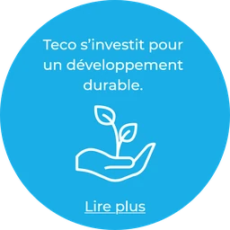 Logo TECO
