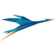 Logo BLUE STORKS
