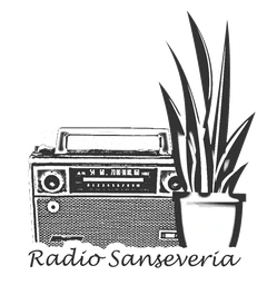 Logo RADIO SANSEVERIA