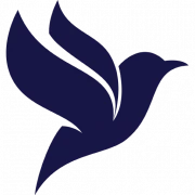 Logo LINGUA ACADEMY BRUSSELS