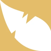 Logo WHITE RAVEN IT