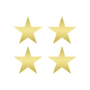 Logo BONIFACIUS