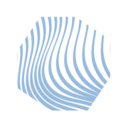 Logo MILVUS Consulting