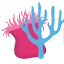 Logo OCEAN STORE