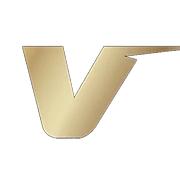 Logo VMAX Motorsport