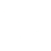 Logo PAX Accounting