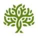 Logo LIMETREE