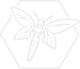 Logo LAMPYRIDA
