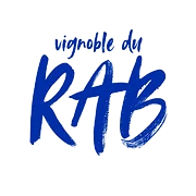 Logo EARL VIGNOBLE GONNIN
