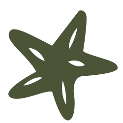 Logo BOLD!