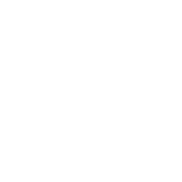 Logo OAV Group