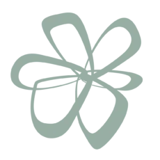 Logo MEDED