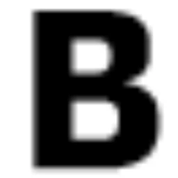 Logo Bureau BoschBerg
