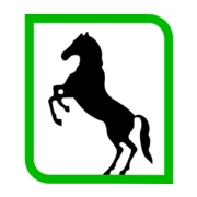 Logo mustangsafes bv