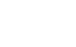 Logo OVS