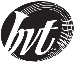 Logo BVT Music