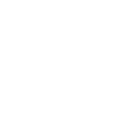 Logo INNOCONSULT