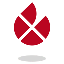 Logo BGS