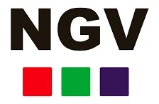 Logo Next Generation Video
