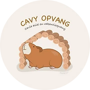 Logo Cavy Opvang