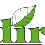 Logo VERDIR