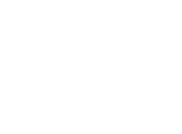 Logo MOTTOMOJO