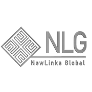 Logo NEWLINKS GLOBAL