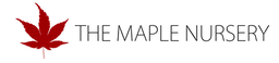 Logo The Maple Nursery