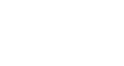 Logo MISTER MONKEY