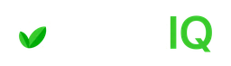 Logo BrickIQ