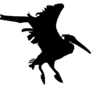 Logo PELISKAN