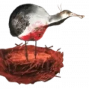 Logo Klankennest