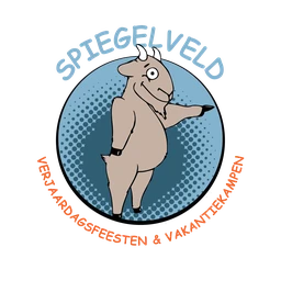 Logo BOOMERANG SERVICES