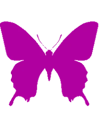 Logo Vlaamse Liga voor Fibromyalgie-Patiënten
