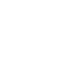 Logo TURNLEAF