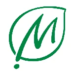 Logo VDI MULTI SERVICES